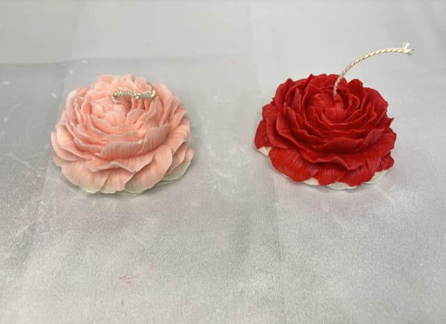 Peony Bloom Light