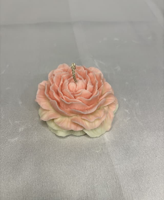 Peony Bloom 