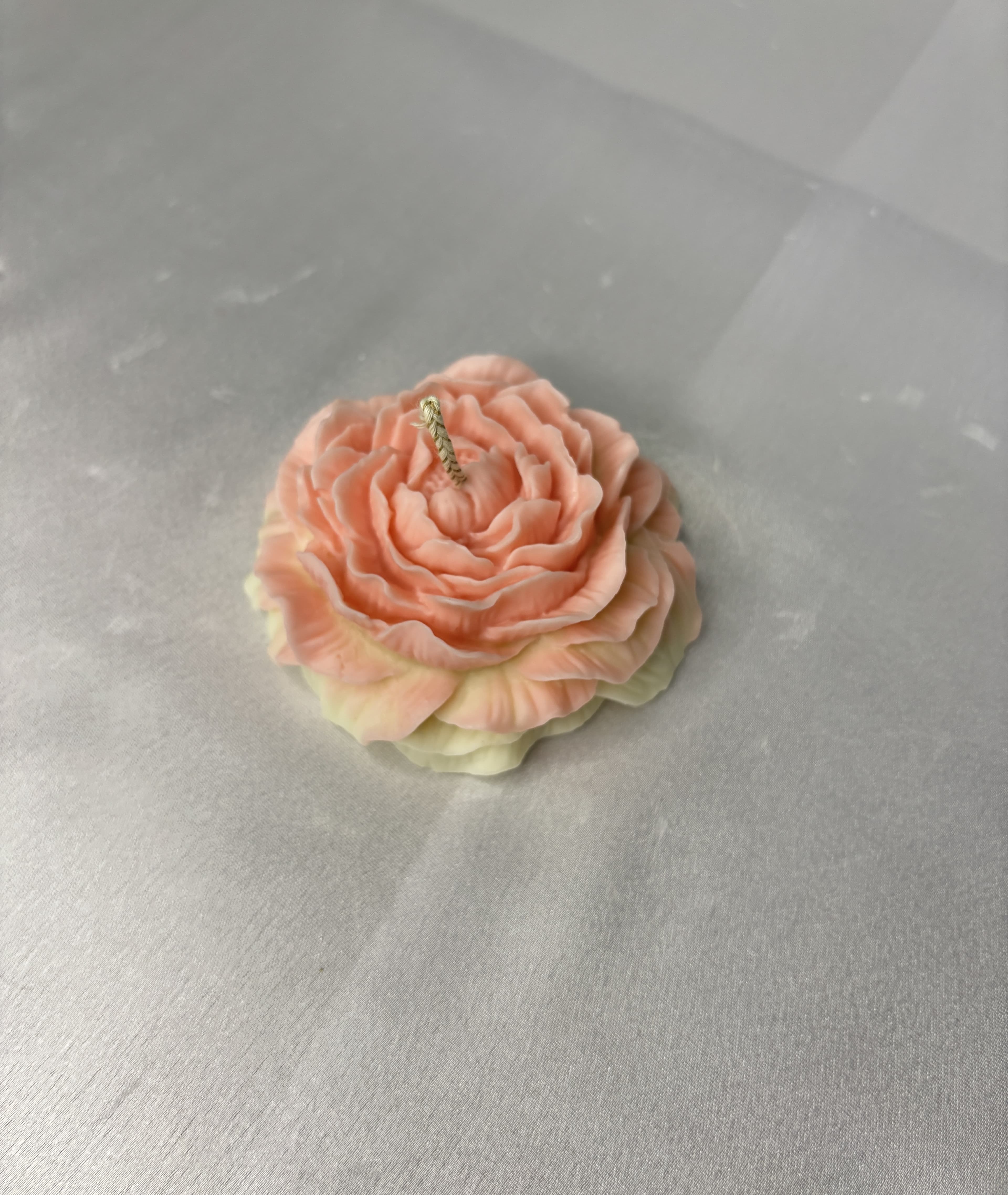 Peony Bloom  thumbnail 2