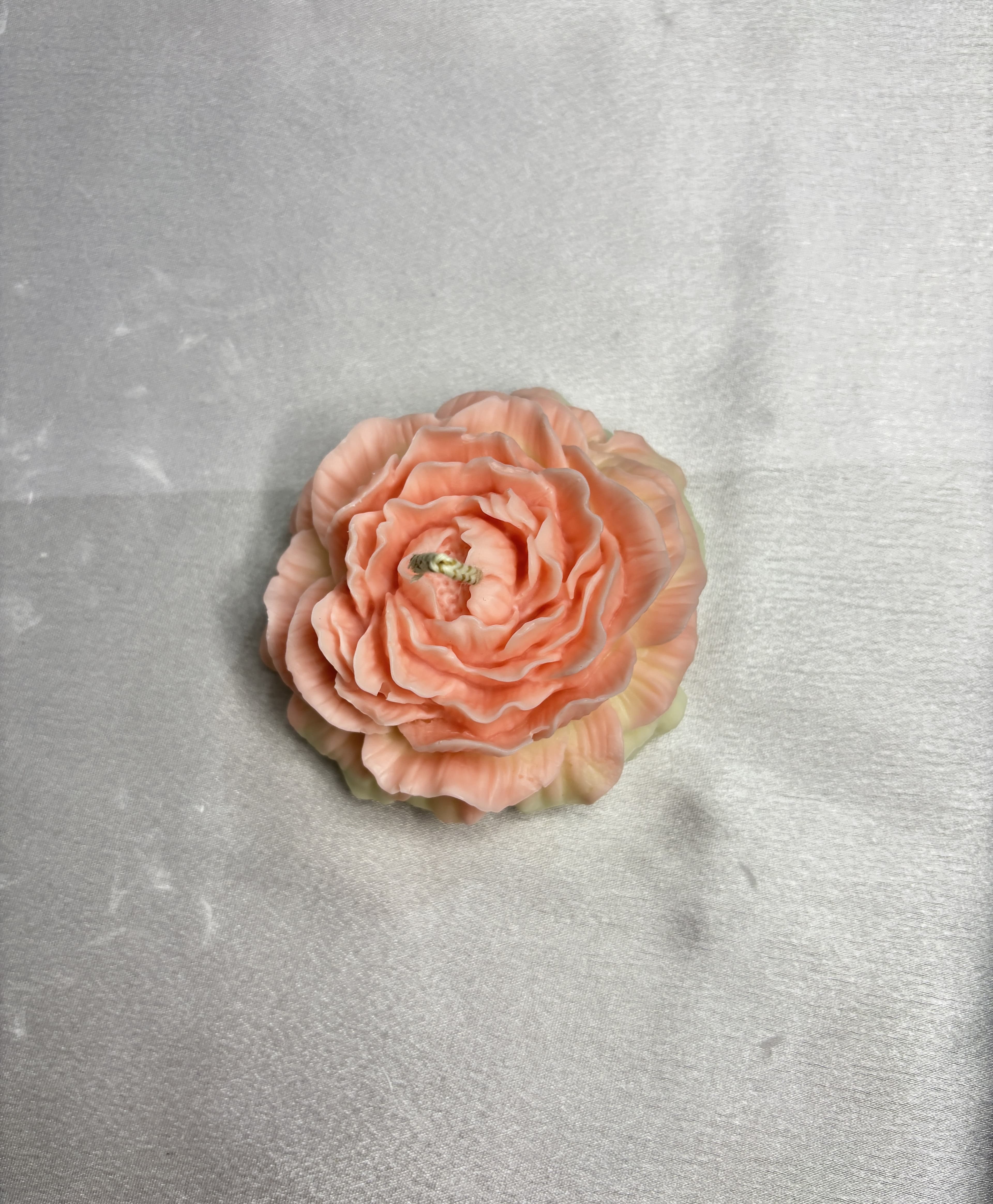 Peony Bloom  thumbnail 3